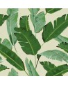Wallpaper BANANA LEAVES WP20111 - MIND THE GAP