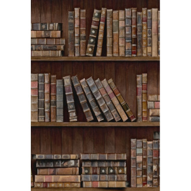 Tapete BOOK SHELVES WP20112 - MIND THE GAP