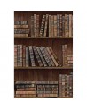 Tapete BOOK SHELVES WP20112 - MIND THE GAP