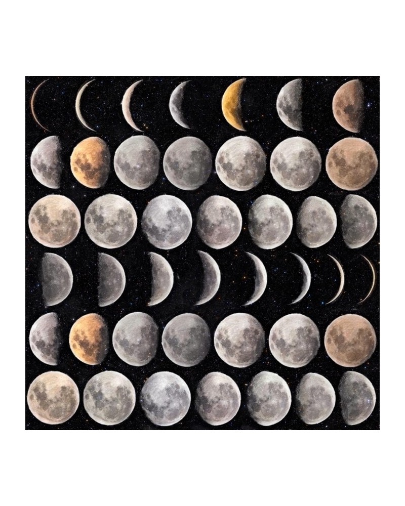 MOON PHASES WP20066