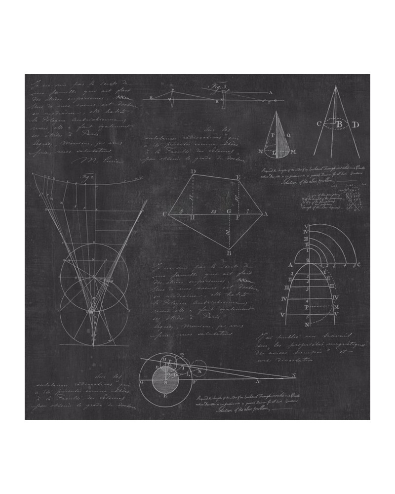 NEWTON GEOMETRY WP20046