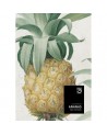 Wallpaper ANANAS WP20090 - MIND THE GAP