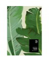 Wallpaper BANANA LEAVES WP20111 - MIND THE GAP