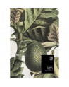 Carta da Parati EXOTIC FRUIT I WP20097 - MIND THE GAP