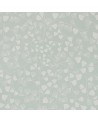 MISP1171 FERN MIST