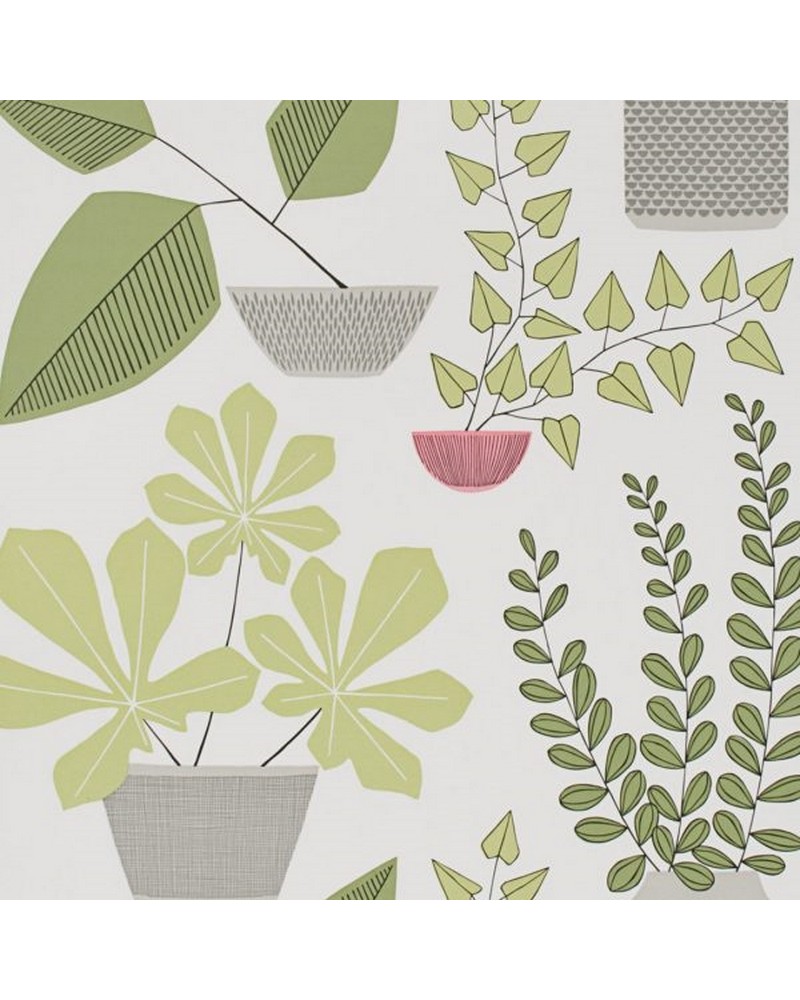 Tapete MISP1176 HOUSE PLANTS OLIVE - MISSPRINT Tapete MISP1176 HOUSE PLANTS OLIVE - MISSPRINT