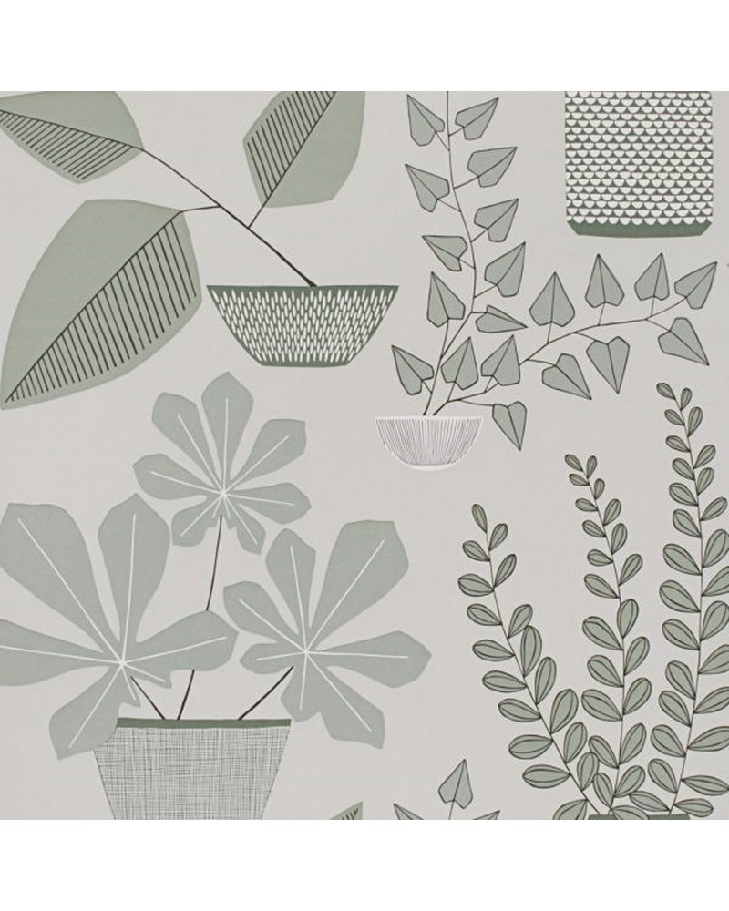 Carta da Parati MISP1177 HOUSE PLANTS BRAMPTON - MISSPRINT Carta da Parati MISP1177 HOUSE PLANTS BRAMPTON - MISSPRINT