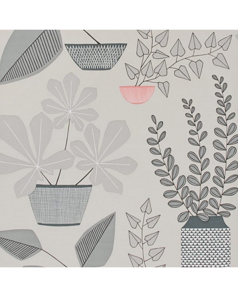 Tapete MISP1179 HOUSE PLANTS POMPEII - MISSPRINT Tapete MISP1179 HOUSE PLANTS POMPEII - MISSPRINT