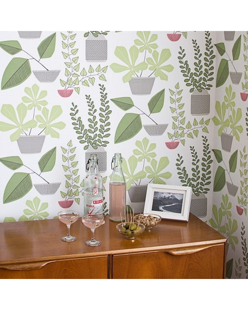 Tapete MISP1179 HOUSE PLANTS POMPEII - MISSPRINT
