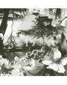 Tapete BRUME - ECRU-NOIR 3307-01 - JEAN PAUL GAULTIER