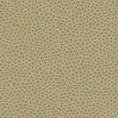 Papel de parede Senzo Spot 109-6029 - COLE and SON