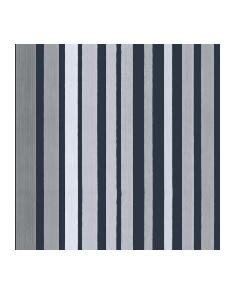 110-9043 CAROUSEL STRIPE