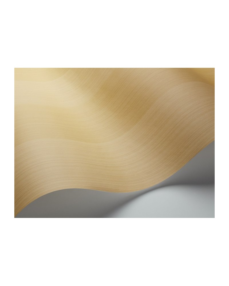 Papel de parede 110-4021 JASPE STRIPE - COLE and SON