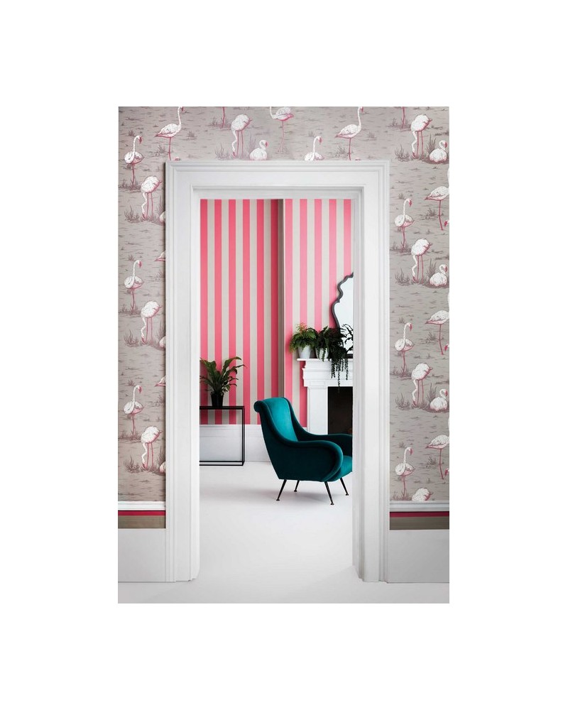 Papel Pintado 110-10049 JASPE BORDER - COLE and SON
