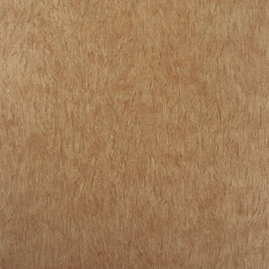 Papel de parede W6901-01 FALCON - OSBORNE and LITTLE