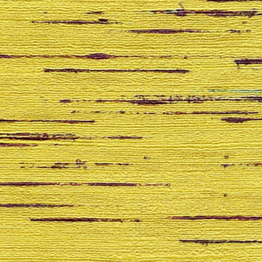 Carta da Parati VP-851-04 - Elitis