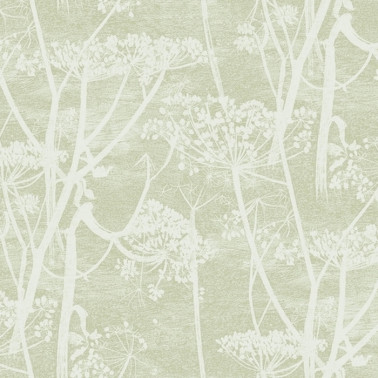 Papel Pintado 112-8029 COW PARSLEY - COLE and SON