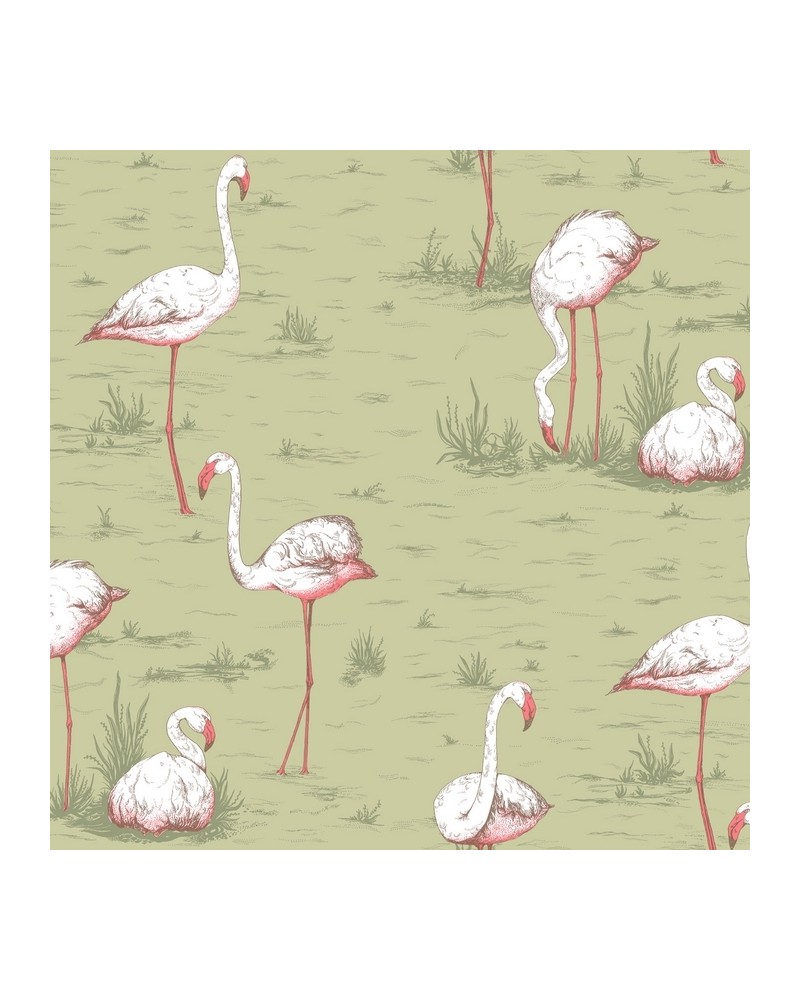 112-11038 FLAMINGOS