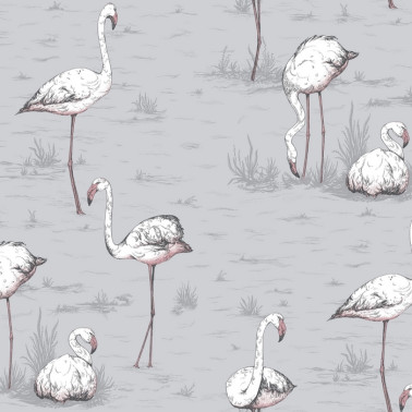 Papel Pintado 112-11040 FLAMINGOS - COLE and SON