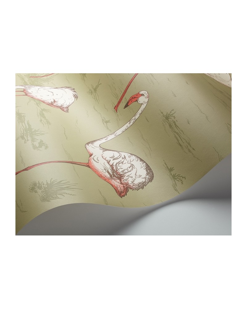 Papel Pintado 112-11038 FLAMINGOS - COLE and SON