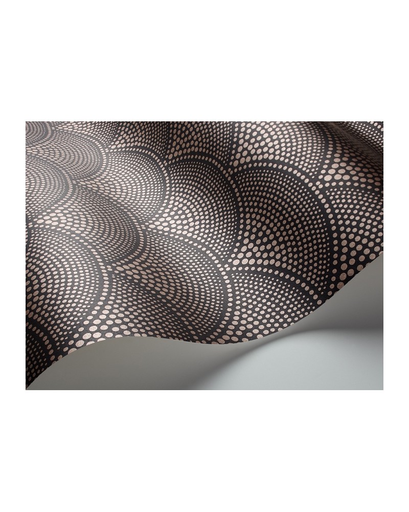 Tapete 112-10033 FEATHER FAN - COLE and SON