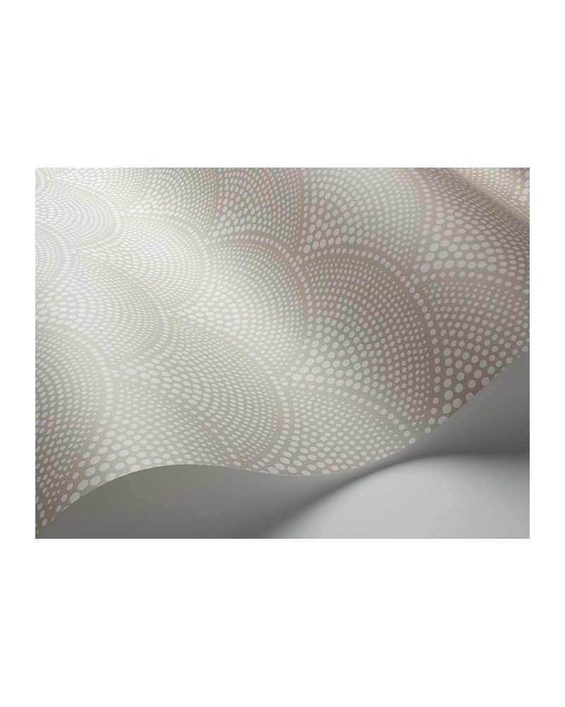 Papel de parede 112-10034 FEATHER FAN - COLE and SON