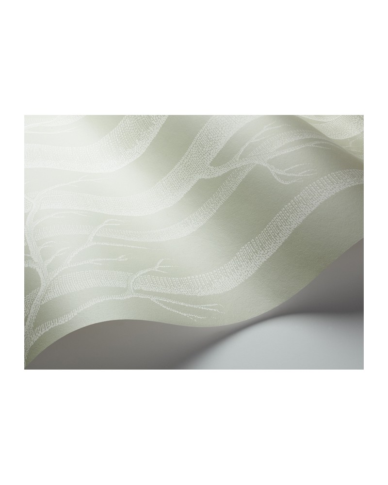 Papel de parede 112-3013 WOODS - COLE and SON