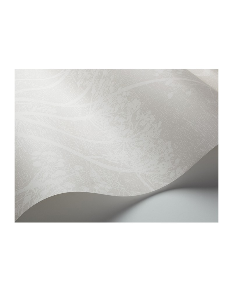 Papel de parede 112-8027 COW PARSLEY - COLE and SON