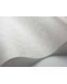 Papel de parede 112-8027 COW PARSLEY - COLE and SON