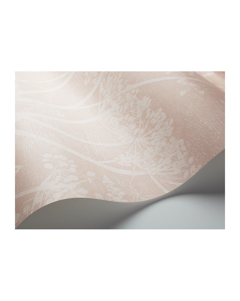 Wallpaper 112-8028 COW PARSLEY - COLE and SON