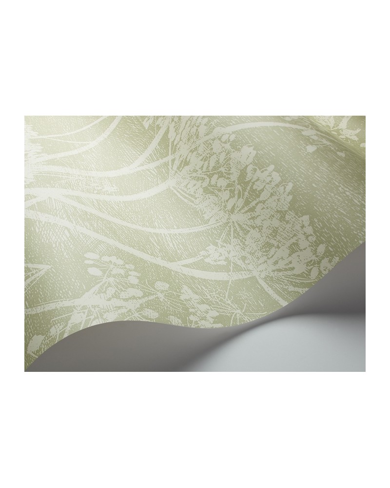 Wallpaper 112-8029 COW PARSLEY - COLE and SON