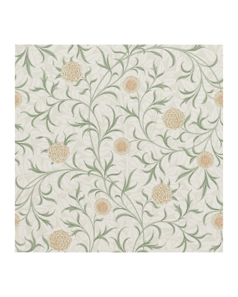 Papel de parede DMCR216473 SCROLL - MORRIS CO