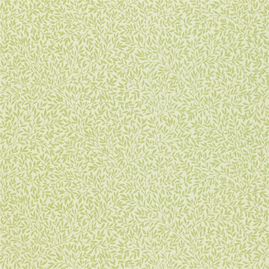 Papel de parede DMCR216474 STANDEN - MORRIS CO