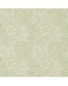 DMCR216483 MARIGOLHO