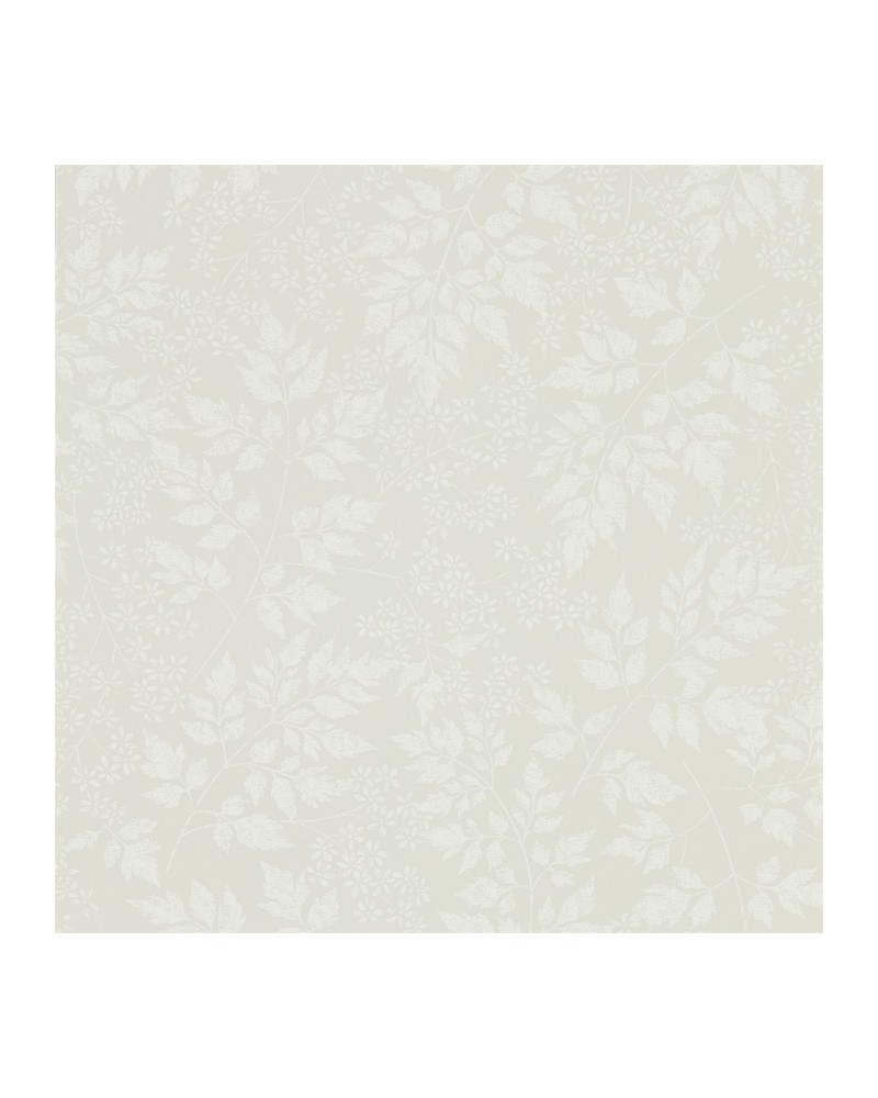 Papier peint DHPO216371 SPRING LEAVES - Sanderson Papier peint DHPO216371 SPRING LEAVES - Sanderson
