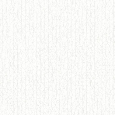 Wallpaper CRAQUEL WALL BIANCO 23024-1 - RUBELLI