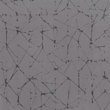 Wallpaper VERMEER WALL GRIGIO 23025-5 - RUBELLI