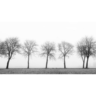 Papel Pintado R12981-10 TREE SOLDIERS - REBEL WALLS