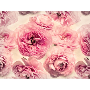 Wallpaper R13091-8 SUMMER WIND - REBEL WALLS