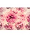 Papel Pintado R13091-8 SUMMER WIND - REBEL WALLS