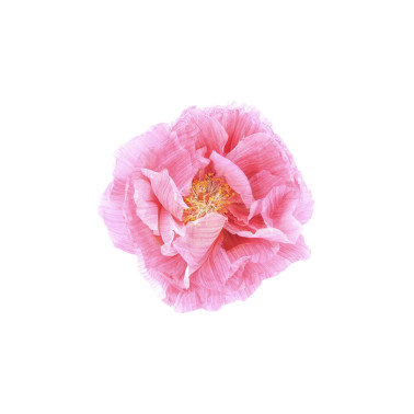 Wallpaper R13161-8 POPPY ART - REBEL WALLS