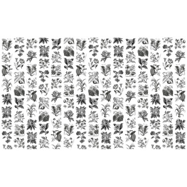 Wallpaper R13171-4 FRUIT & FLORA - REBEL WALLS