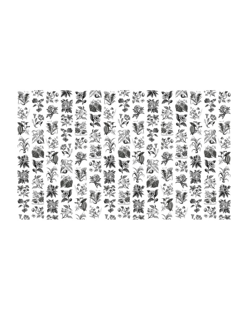 Papel de parede R13171-4 FRUIT & FLORA - REBEL WALLS Papel de parede R13171-4 FRUIT & FLORA - REBEL WALLS