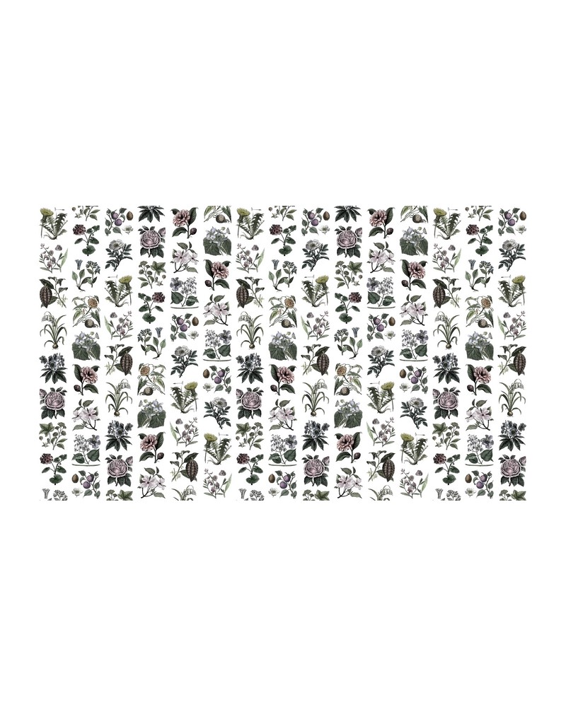 Wallpaper R13172-4 FRUIT & FLORA - REBEL WALLS Wallpaper R13172-4 FRUIT & FLORA - REBEL WALLS