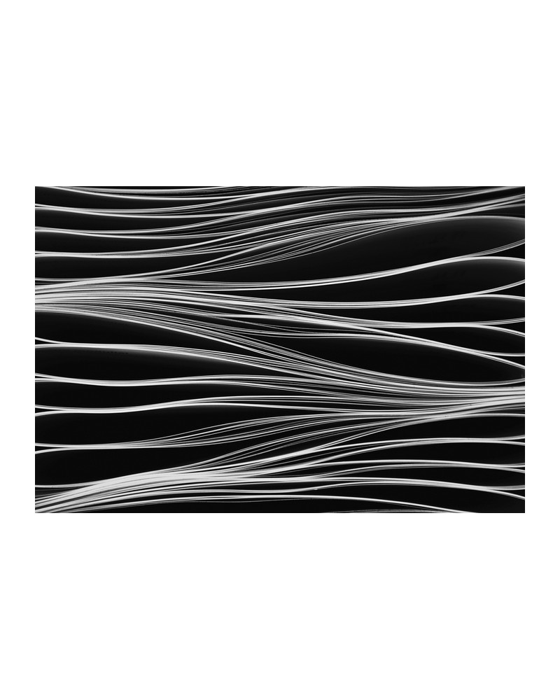 Papier peint NO 6 - Pasion R13981 - REBEL WALLS Papier peint NO 6 - Pasion R13981 - REBEL WALLS