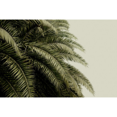 Wallpaper NO 6 - Pasion R14001 - REBEL WALLS