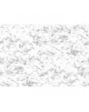 Papel de parede NO 7 - Curious R14192 - REBEL WALLS