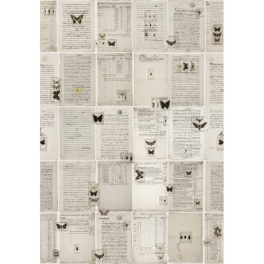 Papier peint NO 7 - Curious R14251 - REBEL WALLS