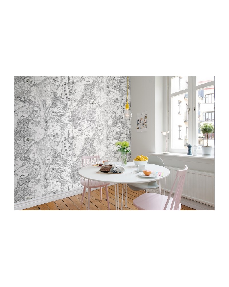 Papier peint NO 5 - Maps R13863 - REBEL WALLS