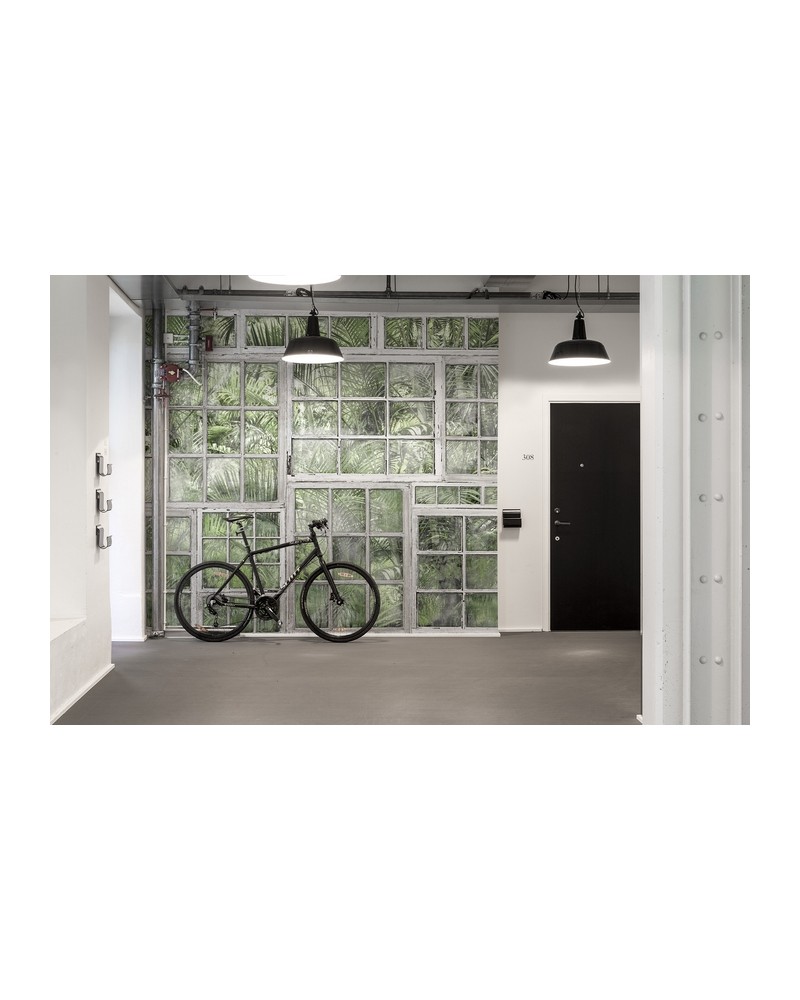 Papel de parede NO 7 - Curious R14371 - REBEL WALLS
